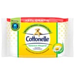 Cottonelle Feuchtes Toilettenpapier Kamille & Aloe Vera 66 Stück