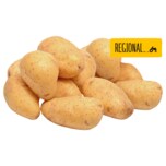 Familie Essers Kartoffeln aus dem Rheinland festkochend 1,5kg im Netz