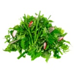 Wildkräuter Salat 125g