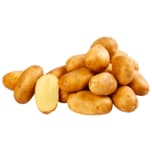 Bio Kartoffeln aus der Region 2,5kg
