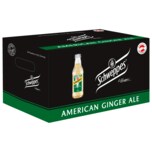 Schweppes Ginger Ale 24x0,2l