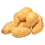 Solara Kartoffeln mehligkochend aus der Region 2kg