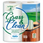 Hakle Grass & Clean Küchentücher 2x65 Blatt