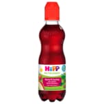 Hipp Rote Früchte Bio 300ml