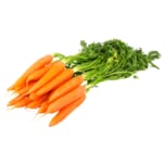 Gärtnerei Böck Karotten aus der Region 1kg