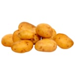 Kartoffeln festkochend aus der Region 2kg