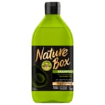 Nature Box Avocado Shampoo 385ml