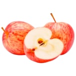 Apfel Snack Gala 1kg