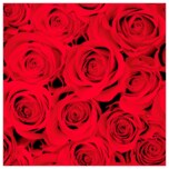 Servietten rote Rosen 3 lagig 20 Stück
