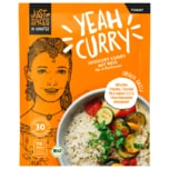 Just Spices In Minutes Bio Joghurt Curry mit Reis 35g