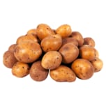 Kartoffeln Drillinge aus der Region 2,5kg