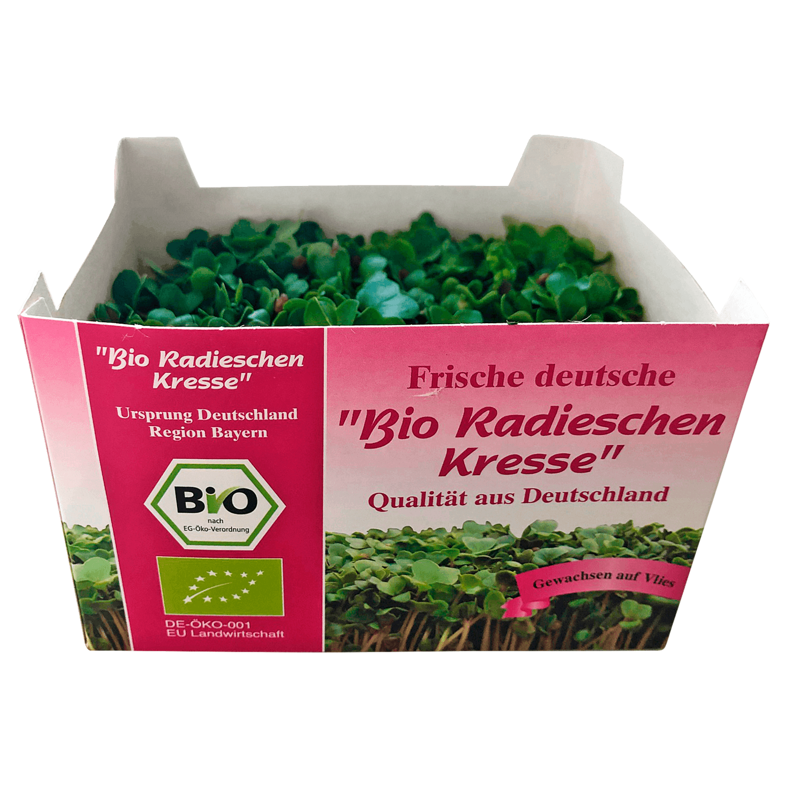 Cressbar® Starterkit schwarz Radieschen Rucola 3 Cressbar Kresseschalen mit 24 Cresspads aus Gartenkresse Senf