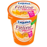 Exquisa Fitline Protein Pfirsich-Maracuja 400g