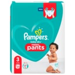 Pampers Baby-Dry Windeln Pants Gr.3 6-11kg 37 Stück