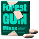 Forest Gum Kaugummi Minze 20g