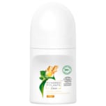 Dove Deo Roll-On Powered by Plants Ginger 50ml