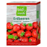 Bio inside Bio Erdbeeren 250g