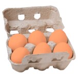Landkost Eier Freilandhaltung 6 Stück