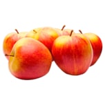 Wellant Äpfel aus der Region 1,5kg