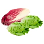 Salat Veroma Mix 3 Stück