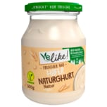 Velike Bio Hafer Naturghurt vegan 500g