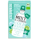 Cupper Bio Tee Mint & Citrus Cold Water Infusers 27g, 10 Beutel