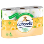 Cottonelle Toilettenpapier Pflegende Sauberkeit Kamille 4-lagig, 6x135 Blatt