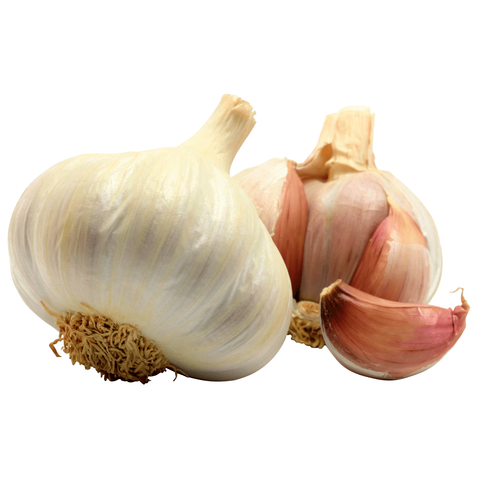 bio-knoblauch-100g