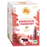 REWE Feine Welt Bio Früchtetee Kanadische Cranberry 30g, 15 Beutel