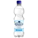 Bergische Waldquelle Mineralwasser Bergisch Still 0,5l