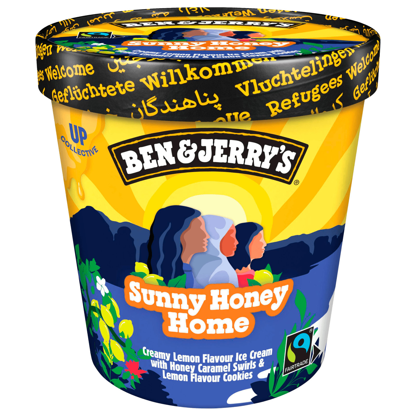 Ben & Jerry's Sunny Honey Home 465ml