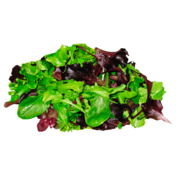 Wildkräuter Salat