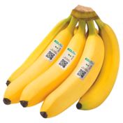 Bio Bananen