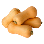 Butternut Kürbis