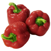 Rote Paprika