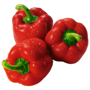 Rote Paprika