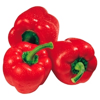  Rote Paprika