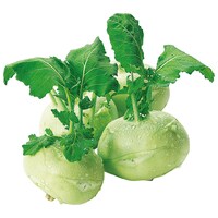  Kohlrabi