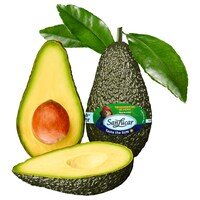  Avocado