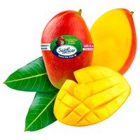  Mango