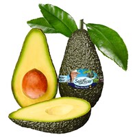  Avocado