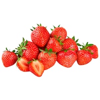  Bio Erdbeeren