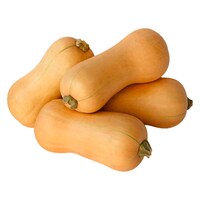  Butternut Kürbis