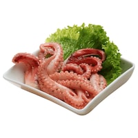  Lauenroth Pulpo Tentakel Italia