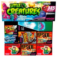  Jugendfeuerwerk »Little Creatures« 3