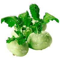  Kohlrabi