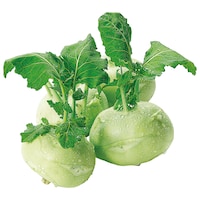 Bio Kohlrabi